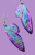 13.png