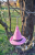 Brelokii (1).png