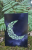 12.png