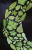 14.png
