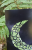 15.png