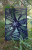 20.png